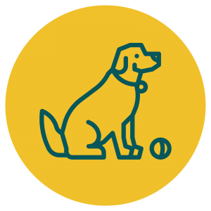 classes_icons2