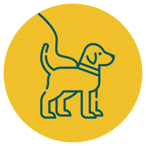 classes_icons3